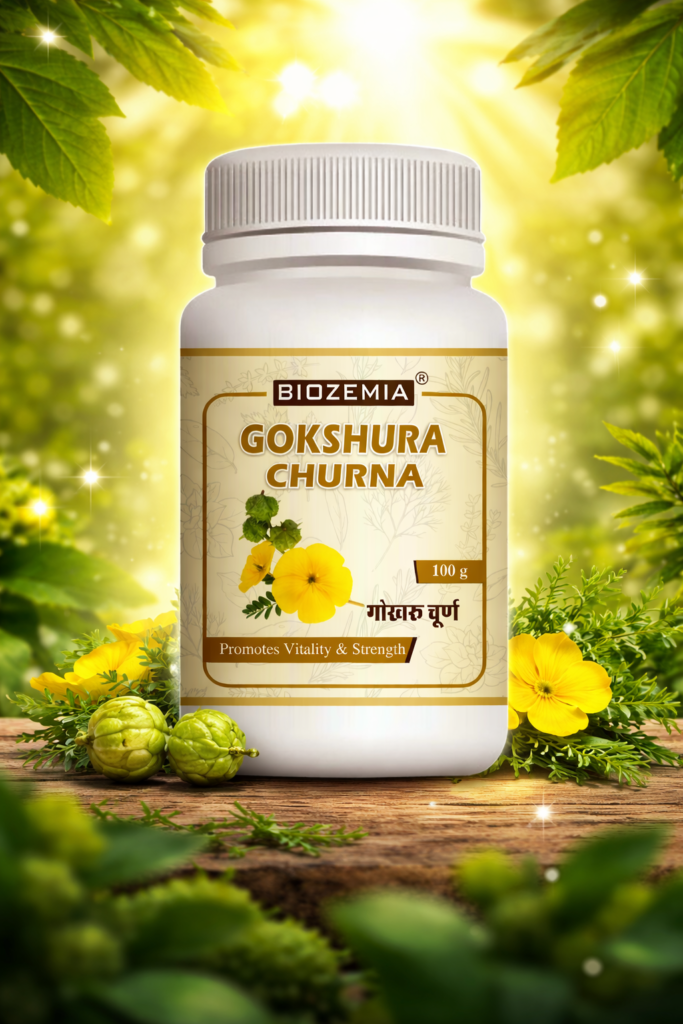 BIOZEMIA GOKSHURA CHURNA POWDER | Herbal Ayurvedic Wellness Supplement | Natural Vitality & Stamina Support | Daily Health Care Powder | 100g Style ID: dfIYArLf